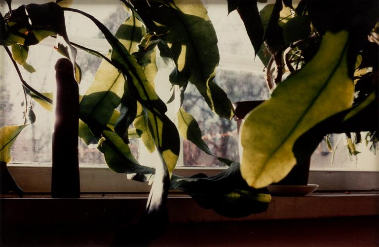 Marianna Uutinen, "Morning".