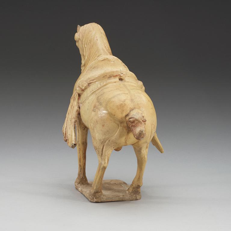 A yellow glazed pottery figure of a horze, Tang dynasty, (618-906).