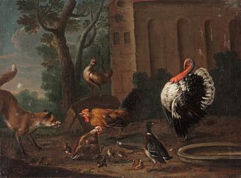 828. Jan Weenix, A fox in the henhouse.