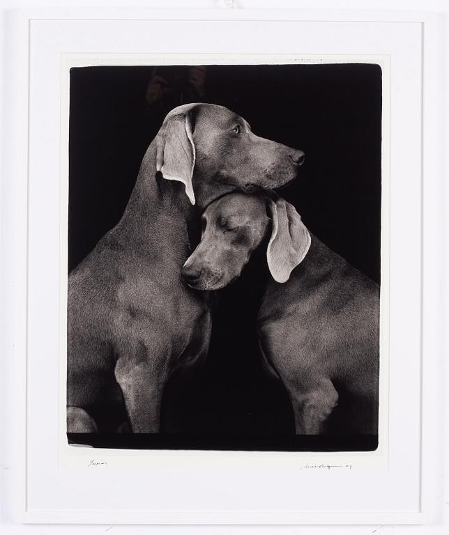 William Wegman, "Friends".
