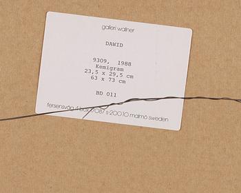 DAWID, Chemigraph on gelatin silver paper signed and dated 1988 on verso. Vintage.