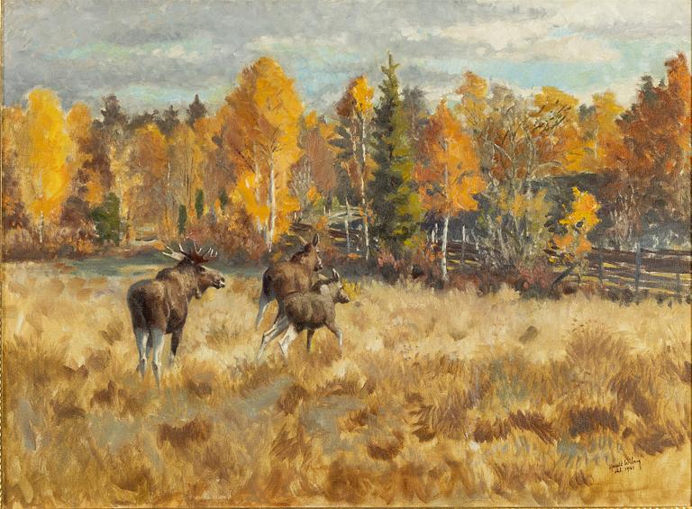 Harald Wiberg, Moose in autumn landscape.