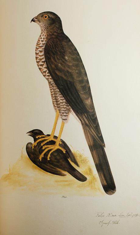 BÖCKER, 2 vol, "Fogelboken", Olof Rudbeck dy, René Coeckelberghs Bokförlag, Stockholm, 1985.