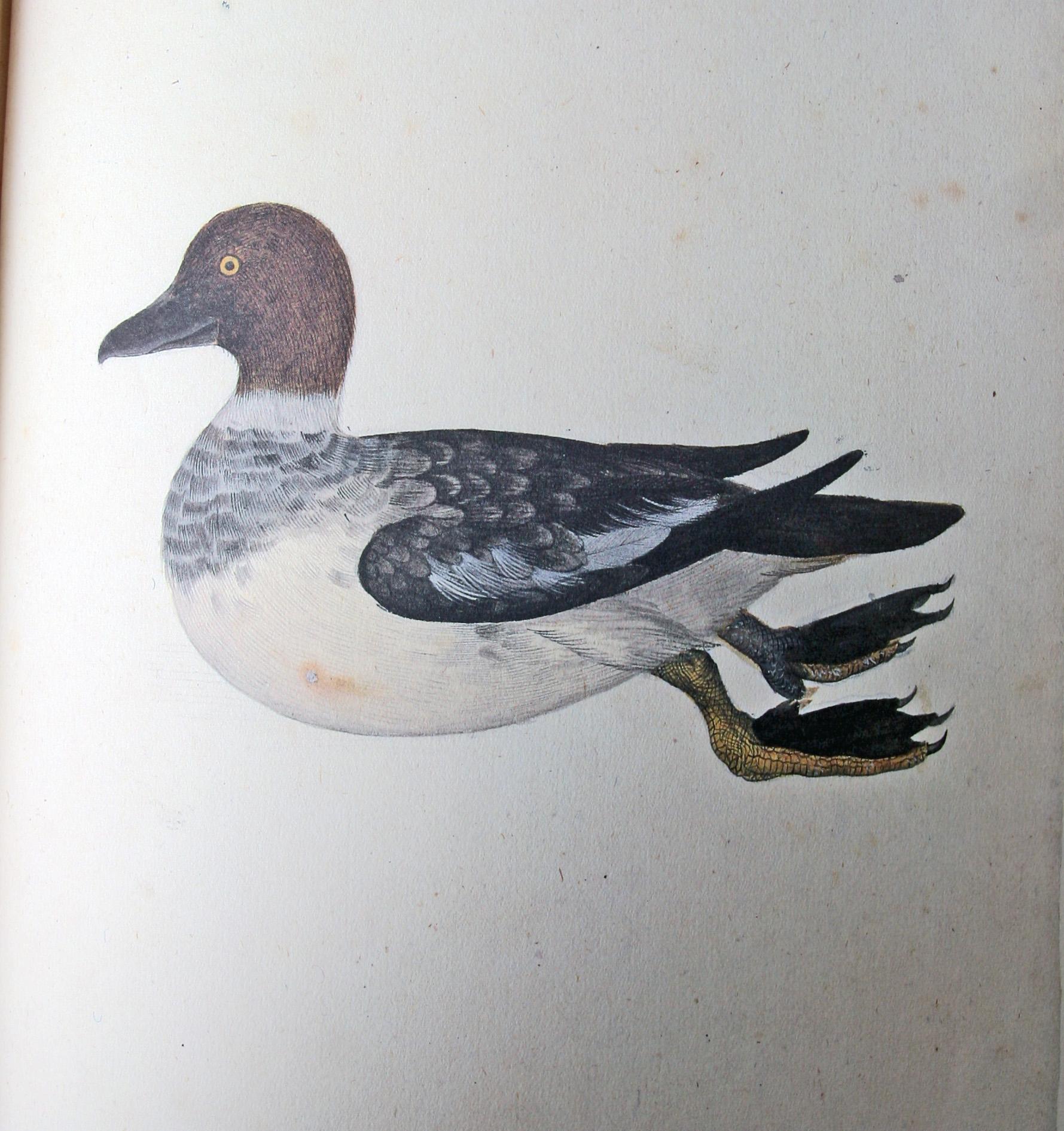 BÖCKER, 2 vol, Olof Rudbeck d y, Iter Lapponicum - Resan till Lappland, nr 1485/1999.