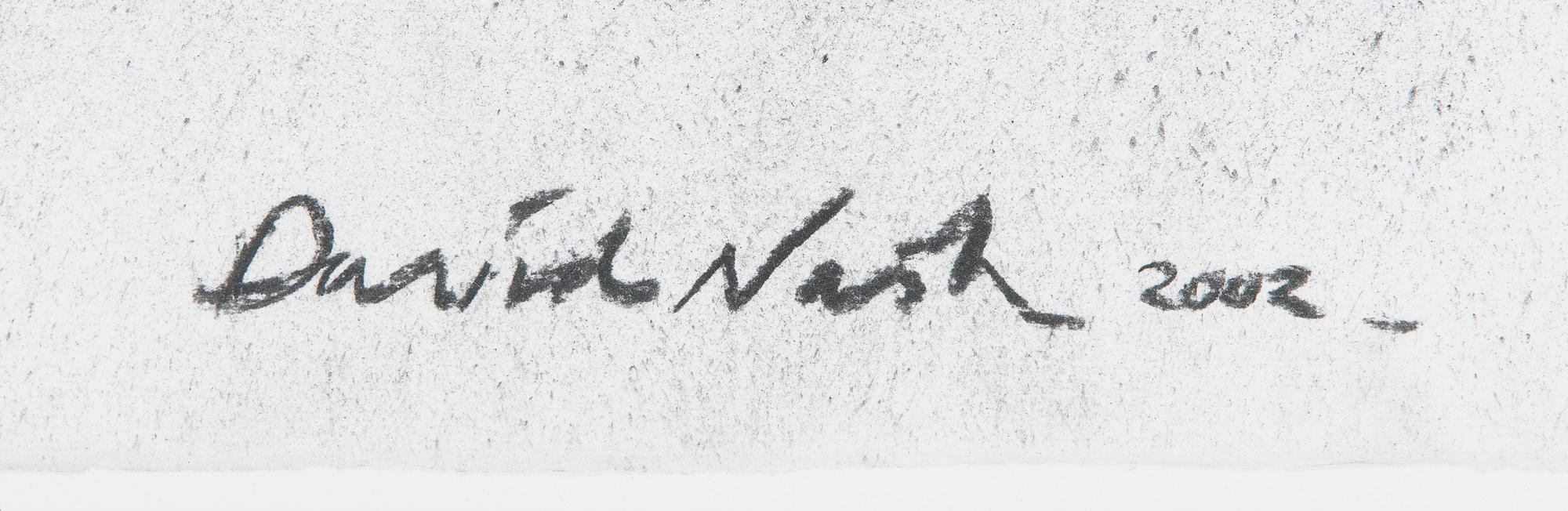 David Nash, "Shadow lines".