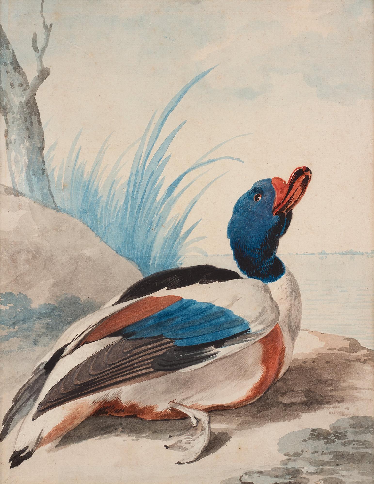 Aert Schouman, "Een Berg Eend nog mitt half levens groot".