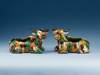 1391. A pair of 'egg and spinach' glazed figures of reclining water buffalo's, Qing dynasty, Kangxi.