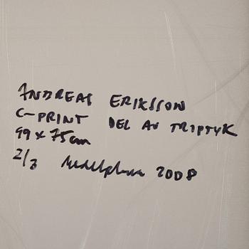 Andreas Eriksson, Untitled.