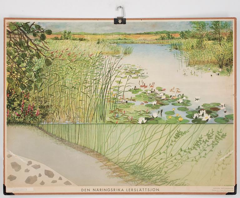 SKOLPLANSCHER, 4 st, 1900-tal.