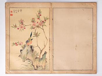 An album with 15 paintings, Qing dynasty (1644-1912). Signed Cao Qi.
