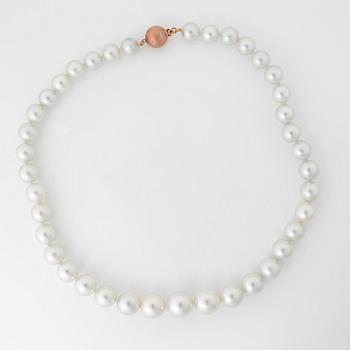 NECKLACE, a string with 39 cultivated white pearls with a 18K pink gold clasp with diamonds.