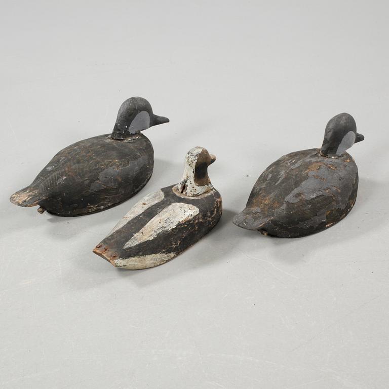 Three models of seabirds, the 20th century.