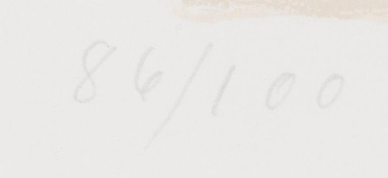 Rafael Wardi, Drumsö.