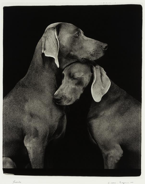 William Wegman, "Friends".