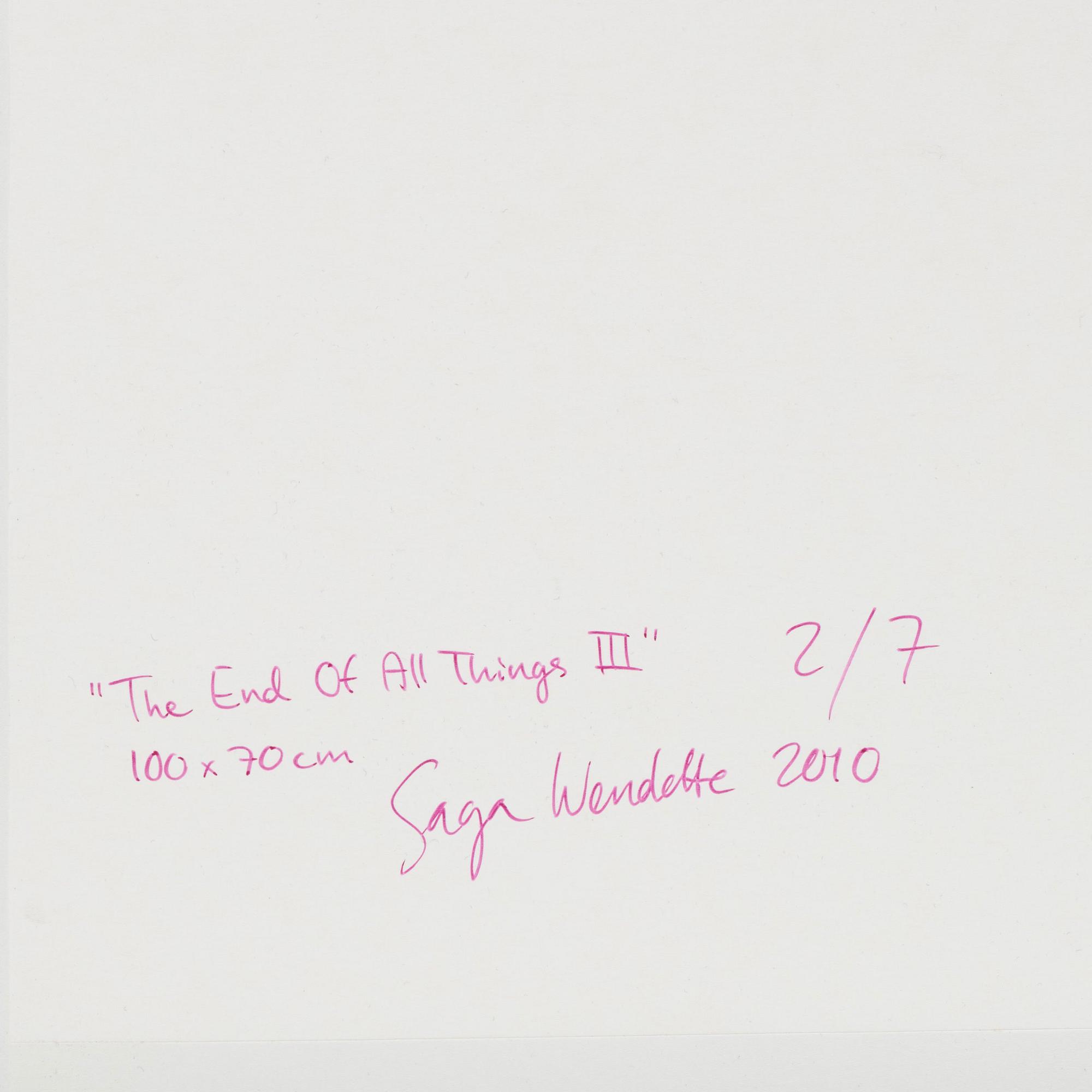 Saga Wendotte, "The End of All Things III", 2010.