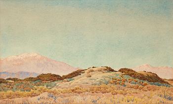 60. Gunnar Widforss, "At Palm Springs".