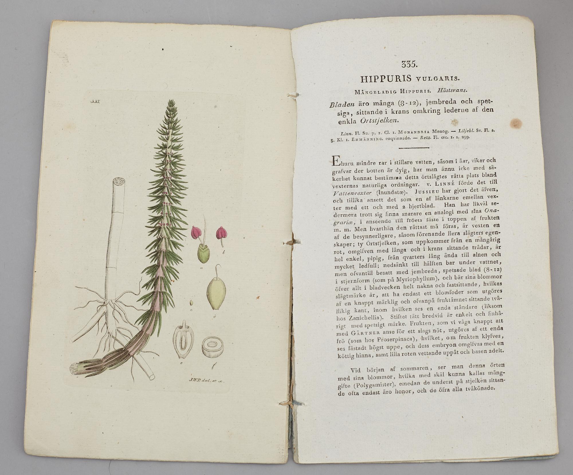 JOHAN WILHELM PALMSTRUCH, "Svensk Botanik, vol I-V. 1803-1805.