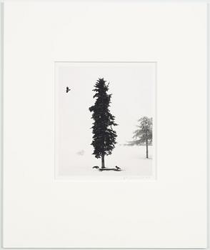 Pentti Sammallahti, Finland Helsinki 2016.