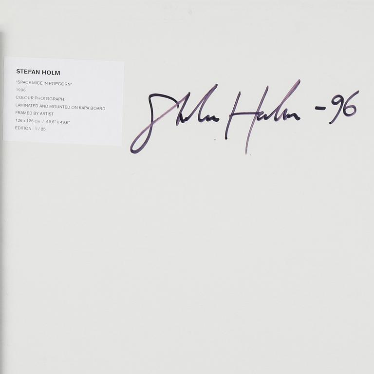 STEFAN HOLM, fotografi, signerat och daterat -96 samt numrerat 1/25 a tergo.