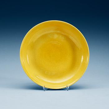 1390. A yellow glazed dish, Ming dynasty, with Zhengdes six character mark and of the period (1506-21).