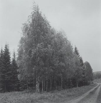 Gunnar Smoliansky, fotografi, signerat a tergo.