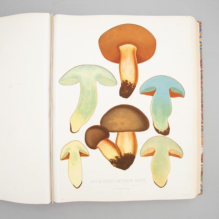 With 94 large chromolithographs of mushrooms.