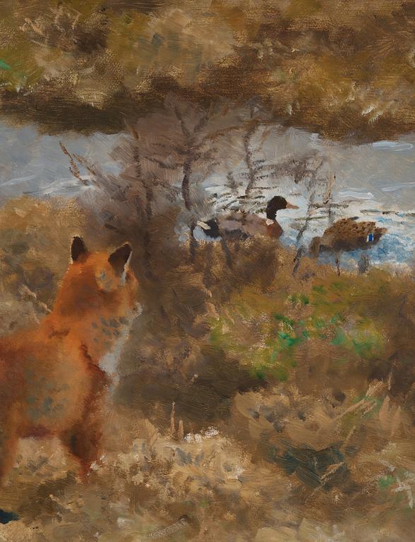 Bruno Liljefors, Räv på andjakt.