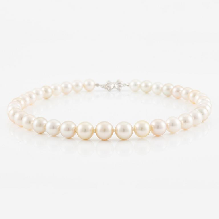 A necklace with cultured South Sea pearls.