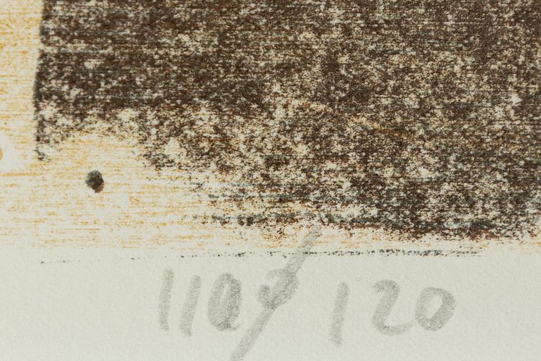 Lars Lerin, Mostrarnas minne.