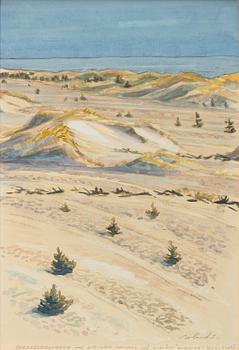 Roland Svensson, "Bredsands dunes with self-sown pine forest on blown sand" (Gotska Sandön).