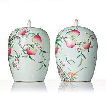 A pair of famille rose 'peaches' jars with cover, Qing dynasty, circa 1900.