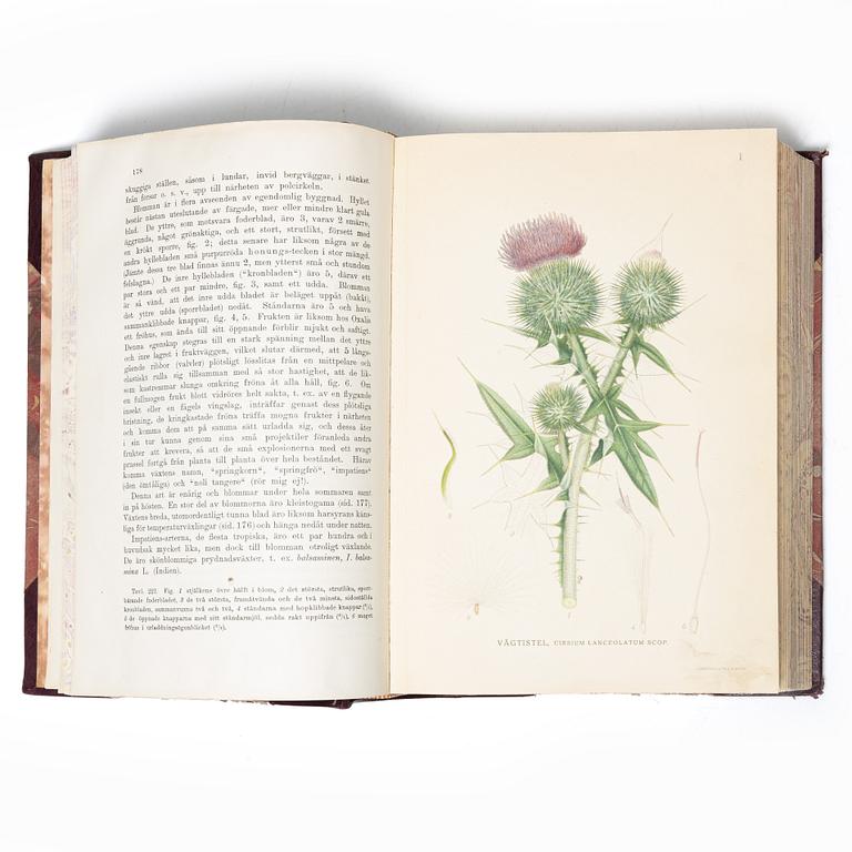 Books, 3 volumes. C.A.M. Lindman, *Bilder ur Nordens Flora*, 1922 and 1926 respectively.