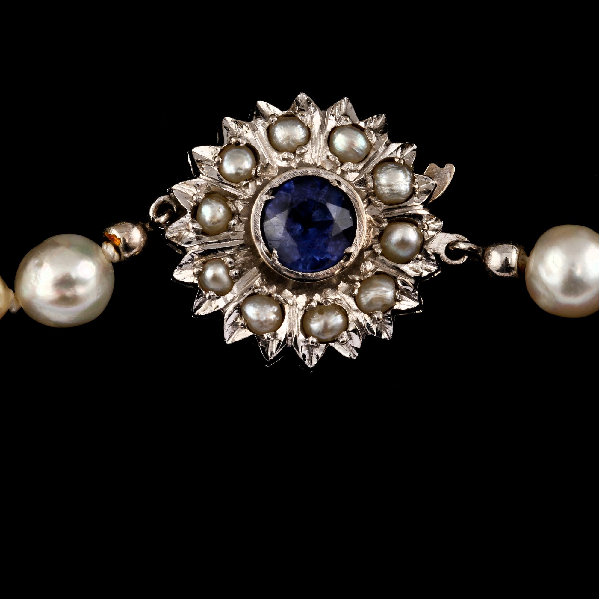 PÄRLCOLLIER, odlade pärlor med lås i 18k vitguld med 10 odlade pärlor och fasettslipad blå safir.