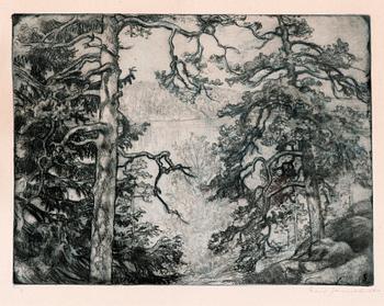 72. Eero Järnefelt, PINE TREES BY THE SHORE.