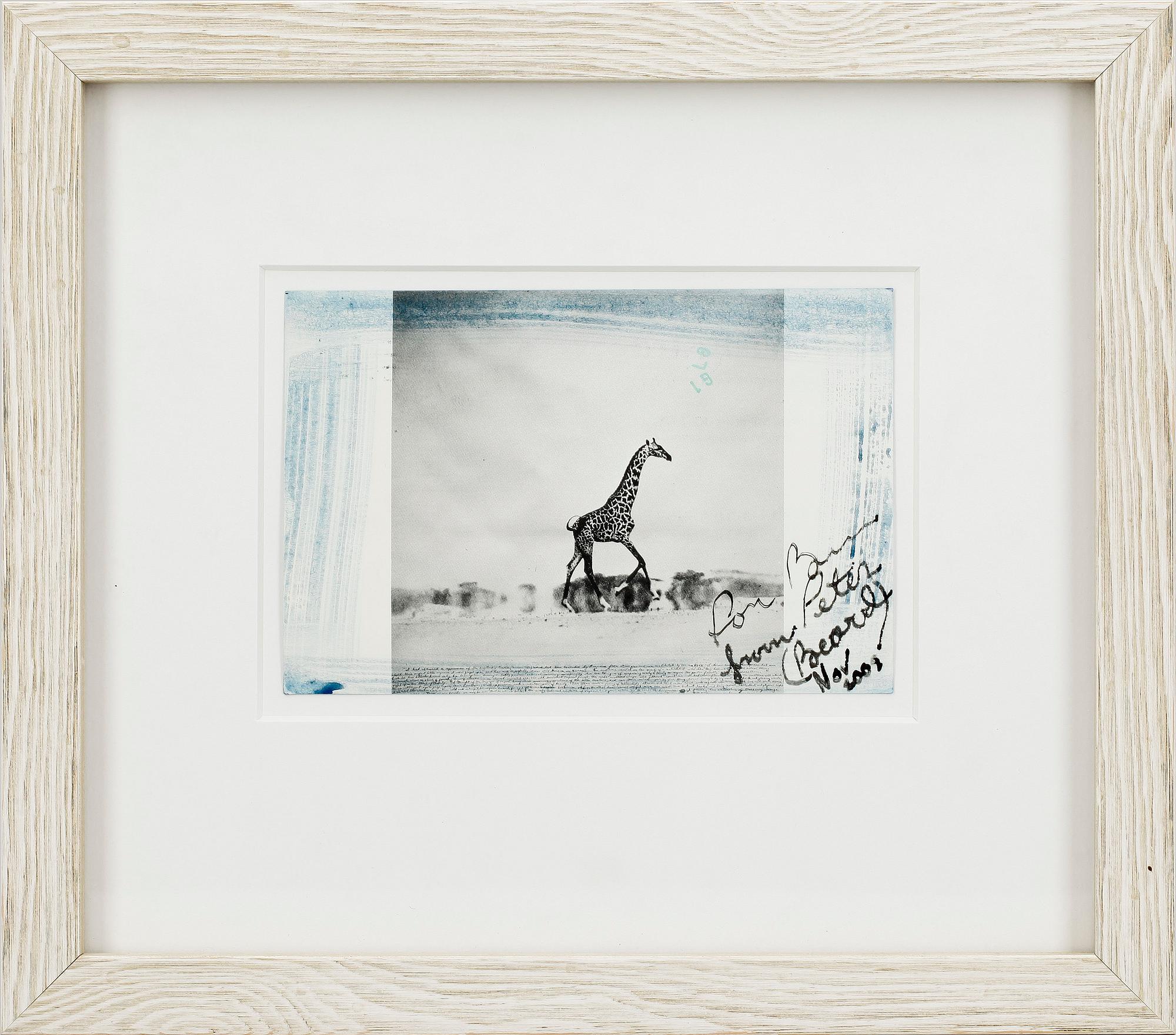 PETER BEARD, kolorerat fotografi, handmålat med signatur och dedikation, dat. 2003. Upplaga om 6 st.