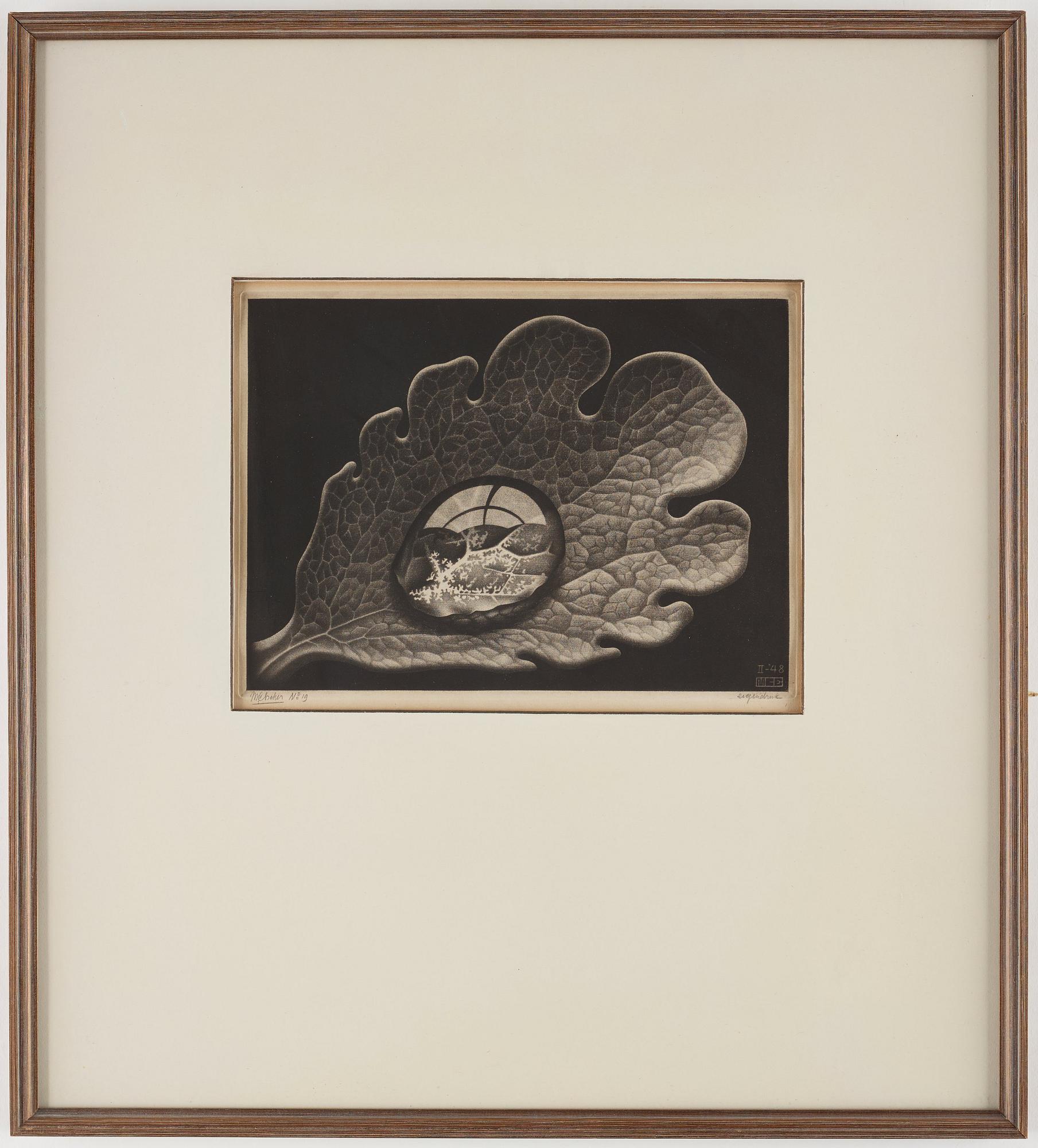 Maurits Cornelis Escher, ”Drop (Dewdrop)”.
