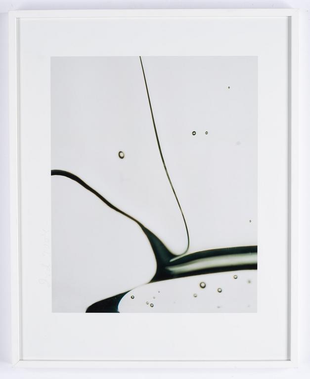 Dawid, pigment print, signed and dated 2004.