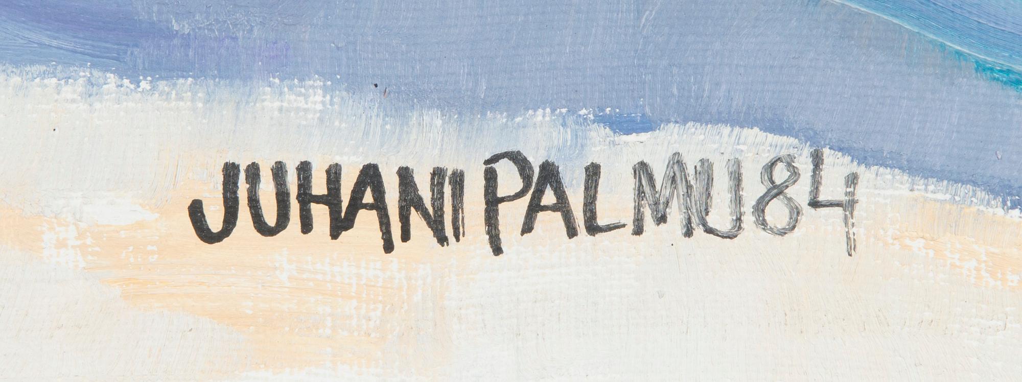 Juhani Palmu, Vinterlandskap.