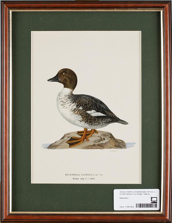 PARTI LITOGRAFISKA TRYCK, 4 st, efter Wilhelm von Wright, 1900-tal.