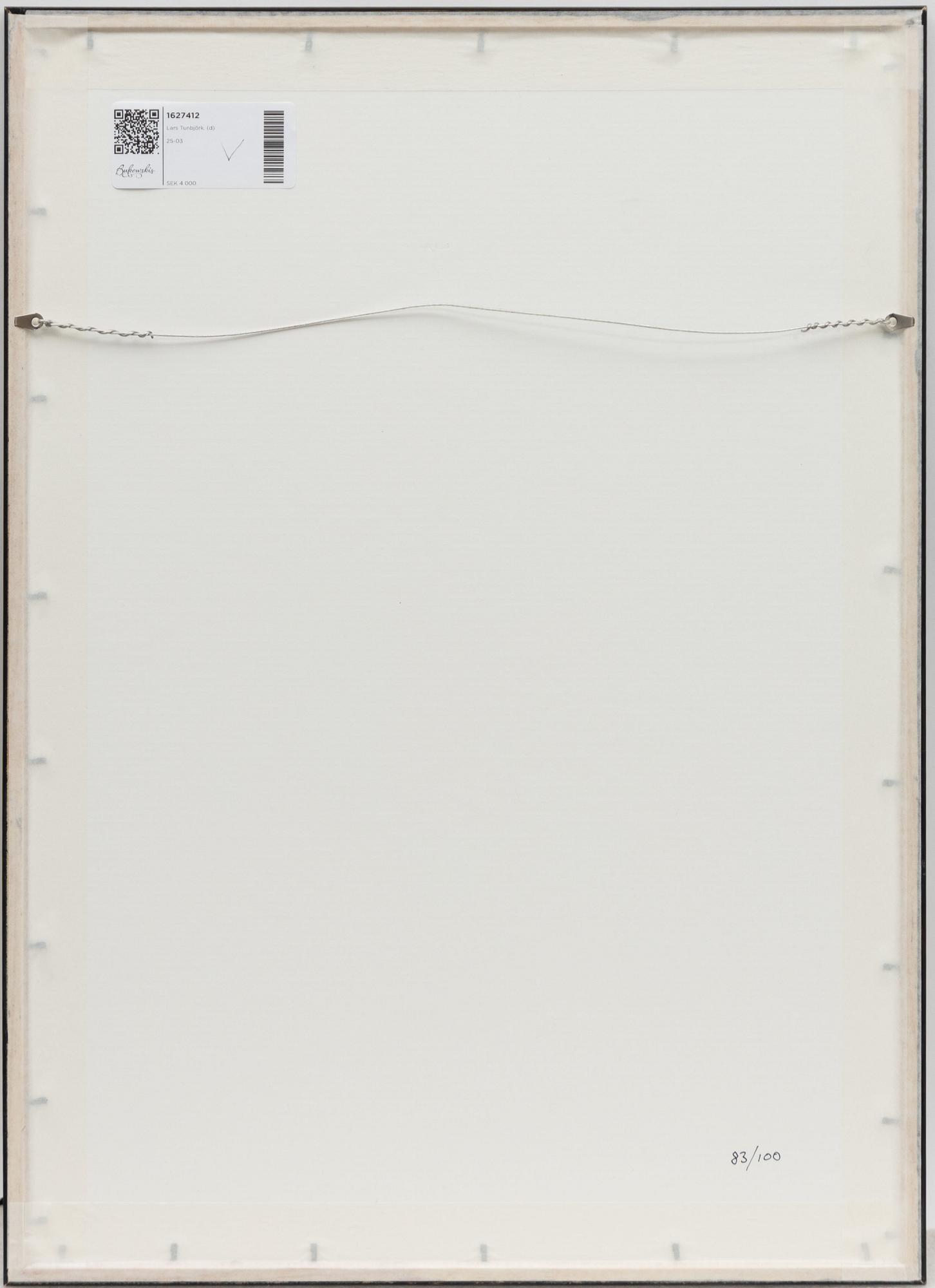 Lars Tunbjörk, Untitled.