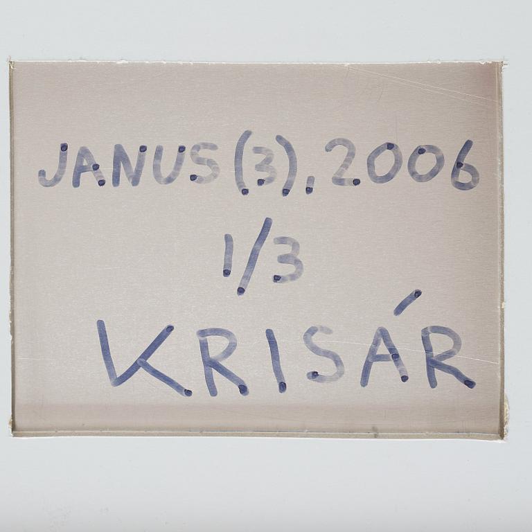 Anders Krisár, "Janus (3)", 2006.