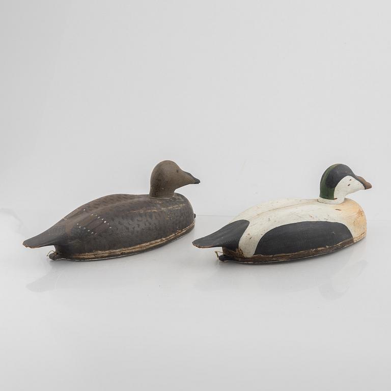 A pair of wood duck decoys, 20th century.