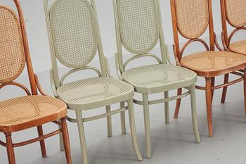 STOLAR 8 st, Thonet-stil, 1900-tal.