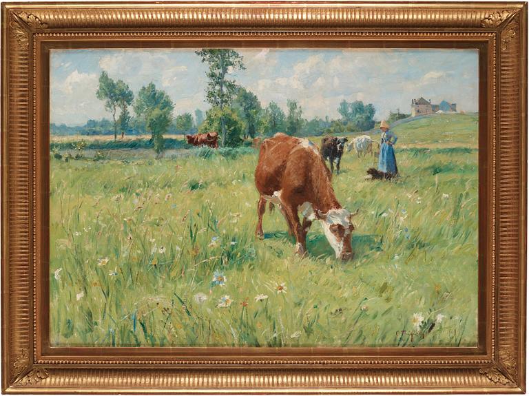Carl Trägårdh, Grazing cattle.