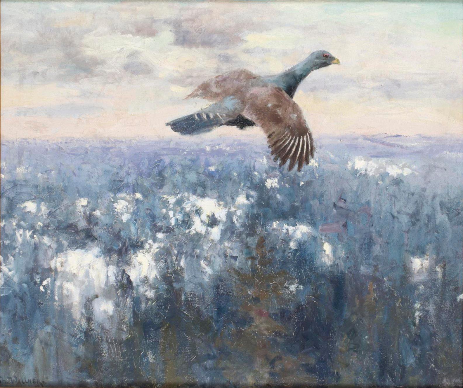 Thure Wallner, Flygande tjäder.