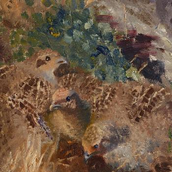 Bruno Liljefors, Partridge with chicks.