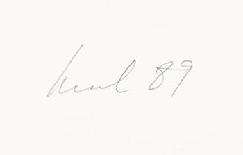 Raul Meel, "Windows and Landscape 5".