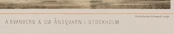 12 GRAPHIC PRINST, around 1900.