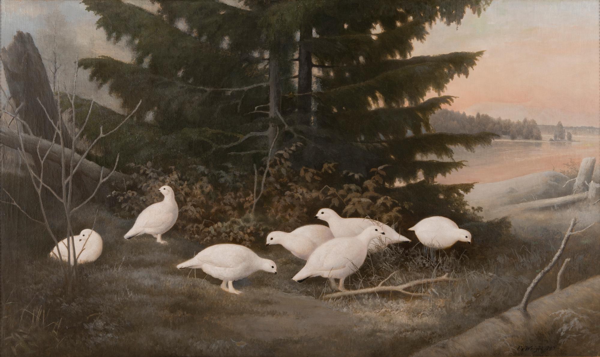 Ferdinand von Wright, RIEKKOJA.