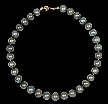 986. A cultured Tahiti pearl necklace, 14,5 - 12,2 mm.
